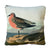 Front - John James Audubon - Coussin RED-BREASTED SANDPIPER