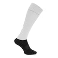 Blanc - Front - Canterbury - Chaussettes de rugby - Homme