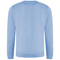 Bleu ciel - Back - AWDis - Sweatshirt - Hommes