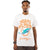 Front - Hype - T-shirt MIAMI DOLPHINS - Adulte
