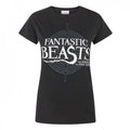 Front - Fantastic Beasts And Where To Find Them - T-shirt - Femme