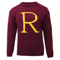 Front - Harry Potter - Pull - Homme