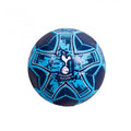 Front - Tottenham Hotspur FC - Mini ballon de foot