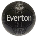 Front - Everton FC - Ballon de football REACT
