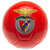 Front - SL Benfica - Ballon de foot