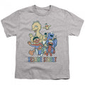 Gris - Front - Sesame Street - T-shirt COLOURFUL GROUP - Enfant