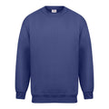 Bleu roi - Front - Absolute Apparel - Sweat-shirt MAGNUM - Homme