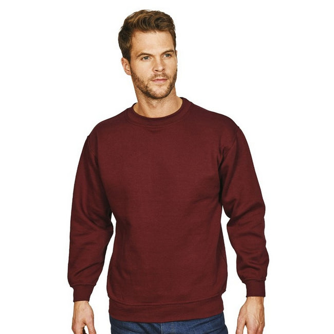Bordeaux - Back - Absolute Apparel - Sweat-shirt STERLING - Homme