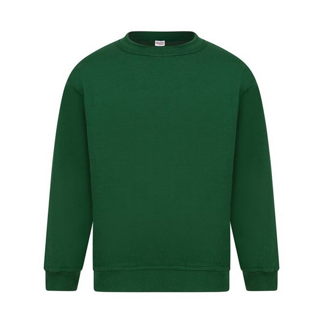 Vert bouteille - Front - Absolute Apparel - Sweat-shirt STERLING - Homme