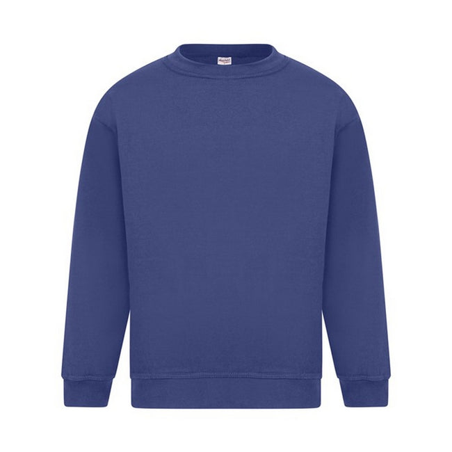 Bleu roi - Front - Absolute Apparel - Sweat-shirt STERLING - Homme
