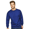 Bleu roi - Back - Absolute Apparel - Sweat-shirt STERLING - Homme