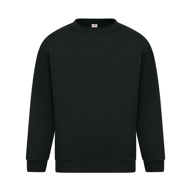 Noir - Front - Absolute Apparel - Sweat-shirt STERLING - Homme
