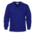 Bleu roi - Front - Absolute Apparel - Sweat-shirt col V - Homme
