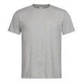 Gris - Front - Stedman - T-shirt classique - Homme