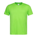 Vert clair - Front - Stedman - T-shirt classique - Homme