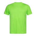 Vert - Side - Stedman - T-shirt classique - Homme
