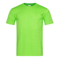 Vert kiwi - Front - Stedman - T-shirt coupe ajustée - Homme