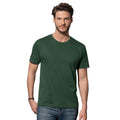 Vert bouteille - Back - Stedman - T-shirt confortable - Homme