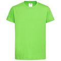 Vert kiwi - Front - Stedman - T-shirt classique - Enfant
