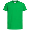 Vert sapin - Front - Stedman - T-shirt classique - Enfant