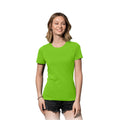 Vert kiwi - Back - Stedman - T-shirt - Femmes
