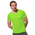 Vert kiwi - Back - Stedman - T-shirt RAGLAN - Hommes