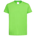 Vert - Front - Stedman - Tee shirt Enfant