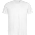 Blanc - Front - Stedman - T-shirt LUX - Homme