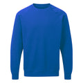 Bleu royal - Front - SG - Sweatshirt à manches longues - Homme