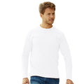 Blanc - Back - Fruit Of The Loom - T-shirt - Homme