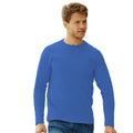 Bleu roi - Back - Fruit Of The Loom - T-shirt - Homme