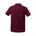 Bordeaux - Back - Russell - Polo manches courtes - Homme