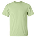 Pistache - Front - Gildan - T-shirt à manches courtes - Homme