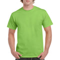 Vert clair - Side - Gildan - T-shirts manches courtes - Hommes