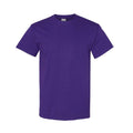 Violet - Front - Gildan - T-shirts manches courtes - Hommes