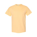 Jaune pâle - Front - Gildan - T-shirts manches courtes - Hommes
