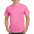 Rose - Back - Gildan - T-shirts manches courtes - Hommes