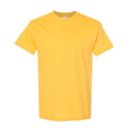 Jaune - Front - Gildan - T-shirts manches courtes - Hommes