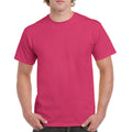 Magenta - Back - Gildan - T-shirts manches courtes - Hommes
