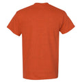 Orange brûlée - Back - Gildan - T-shirt à manches courtes - Homme
