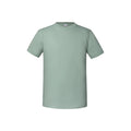 Vert de gris - Front - Fruit of the Loom - T-shirt ICONIC PREMIUM - Homme