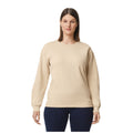 Sable - Front - Gildan - Pull SOFTSTYLE - Adulte