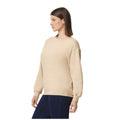 Sable - Side - Gildan - Pull SOFTSTYLE - Adulte