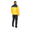 Jaune - Back - Duck and Cover - Veste SYNMAX - Homme