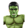 Vert - Noir - Back - Hulk - Déguisement DELUXE - Garçon