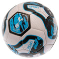 Bleu - Blanc - Noir - Back - Tottenham Hotspur FC - Ballon de foot