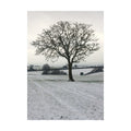 Blanc cassé - Blanc cassé - Gris - Front - Kevin Milner - Carte de Noël COPE FARM TREE