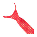 Rouge - Doré - Back - Supreme Products - Cravate de concours - Adulte