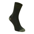 Vert Kaki - Front - Craghoppers - Chaussettes insectifuges NOSILIFE - Homme