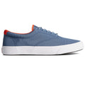 Gris - Back - Sperry - Baskets STRIPER CVO SEACYCLED - Homme